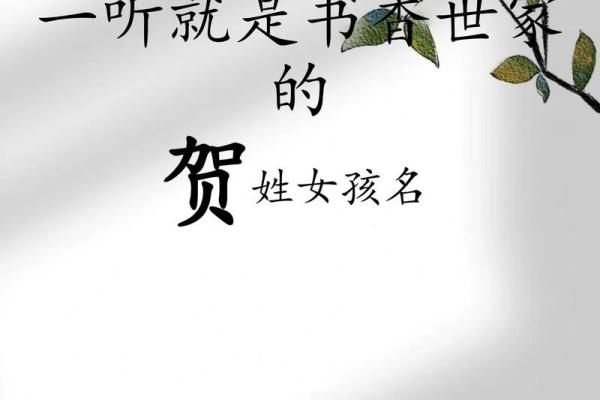 贺姓女孩名字大全-贺姓女孩起名字大全-贺姓名字大全姓名 贺姓女孩名字大全-贺姓女孩起名字大全-贺姓名字大全姓名