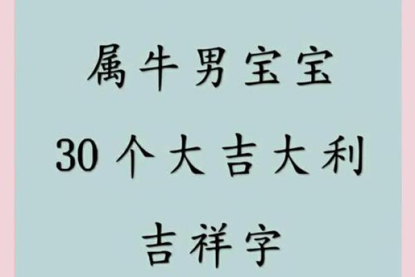 什么字适合给傍晚7点出生的属牛男孩取名字姓名 什么字适合给傍晚7点出生的属牛男孩取名字姓名