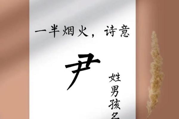 尹姓男孩名字大全-尹姓男孩起名字大全-尹姓名字大全姓名 尹姓男孩名字大全-尹姓男孩起名字大全-尹姓名字大全姓名