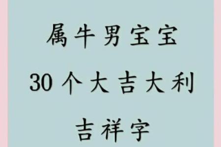 什么字适合给傍晚7点出生的属牛男孩取名字姓名