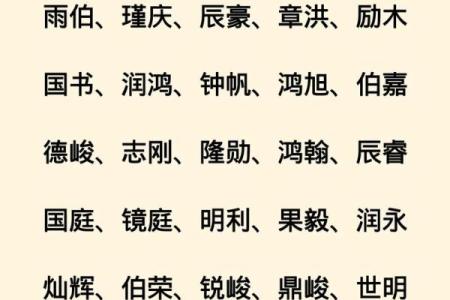 2019年6月15号子时出生的男孩要怎么起名字姓名