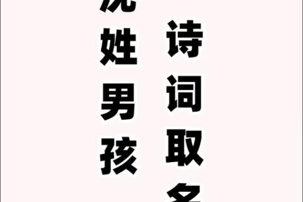 沈姓男孩名字大全-沈姓男孩起名字大全-沈姓名字大全姓名 沈姓男孩名字大全-沈姓男孩起名字大全-沈姓名字大全姓名