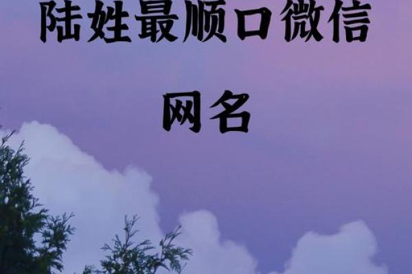 陆姓男孩名字大全-陆姓男孩起名字大全-陆姓名字大全姓名 陆姓男孩名字大全-陆姓男孩起名字大全-陆姓名字大全姓名