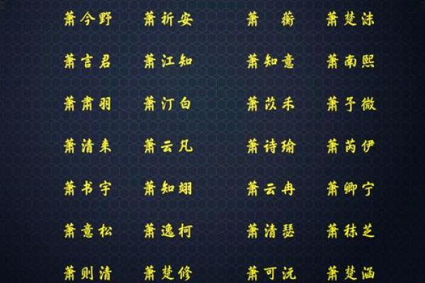 萧姓男孩名字大全-萧姓男孩起名字大全-萧姓名字大全姓名