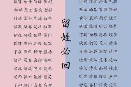 2019年3月20号丑时出生的男孩如何起名姓名