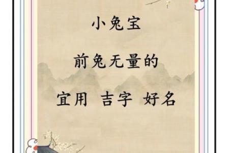 11月份出生的属兔男孩应如何取名字姓名