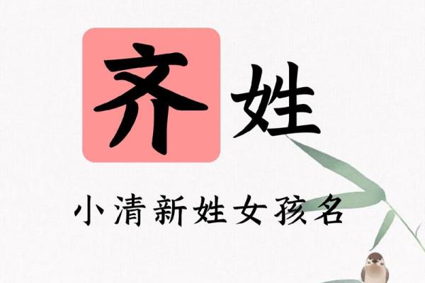 齐姓女孩名字大全-齐姓女孩起名字大全-齐姓名字大全姓名 齐姓女孩名字大全-齐姓女孩起名字大全-齐姓名字大全姓名