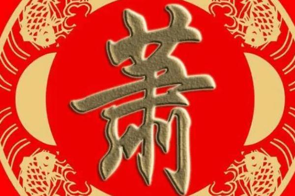 萧姓女孩名字大全-萧姓女孩起名字大全-萧姓名字大全姓名 萧姓女孩名字大全-萧姓女孩起名字大全-萧姓名字大全姓名