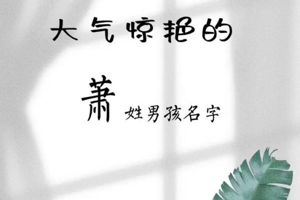 萧姓女孩名字大全-萧姓女孩起名字大全-萧姓名字大全姓名 萧姓女孩名字大全-萧姓女孩起名字大全-萧姓名字大全姓名