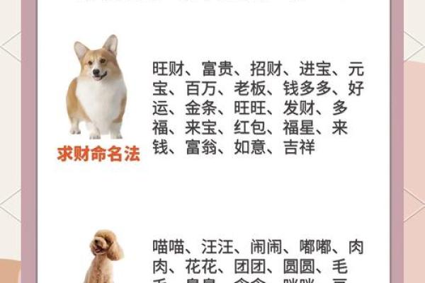 六月份出生的属狗男孩取什么名字好？姓名