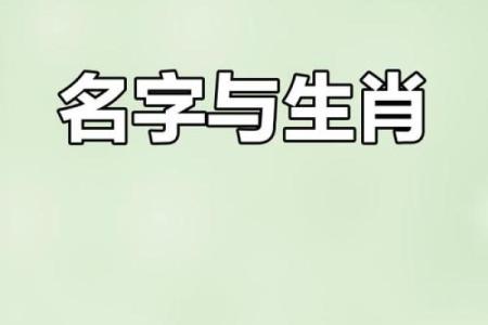 怎样给属猴辰时出生的男孩起名字姓名