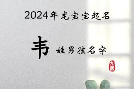 六月份出生的属狗男孩取什么名字好？姓名