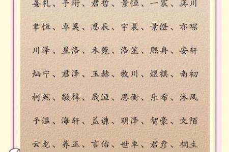 2019年4月13号丑时出生的男孩应该起什么样的名字姓名