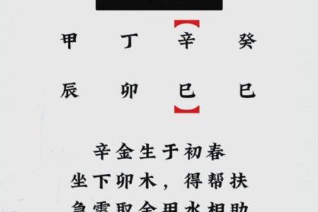 2019年3月24号辛时出生的男孩起名时要注意什么姓名