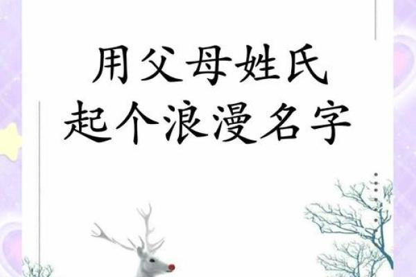 怎么给傍晚出生的属鼠男孩取名字姓名 怎么给傍晚出生的属鼠男孩取名字姓名