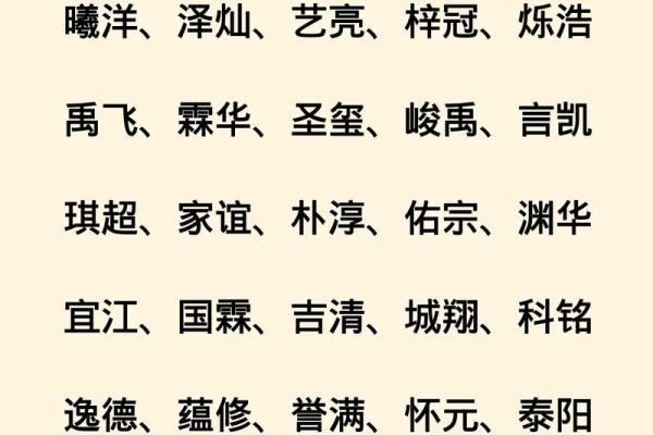 2019年5月25号子时出生的男孩要怎么起名字姓名 2019年5月25号子时出生的男孩要怎么起名字姓名