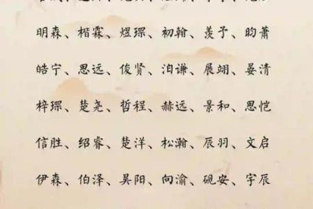 2019年5月20号丑时出生的男孩起名方法姓名