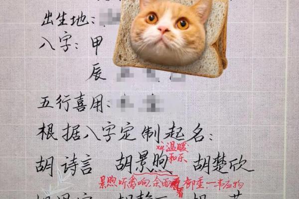 胡姓女孩名字大全-胡姓女孩起名字大全-胡姓名字大全姓名 胡姓女孩名字大全-胡姓女孩起名字大全-胡姓名字大全姓名