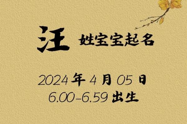 属狗巳时出生的男孩怎样取名字姓名 属狗巳时出生的男孩怎样取名字姓名