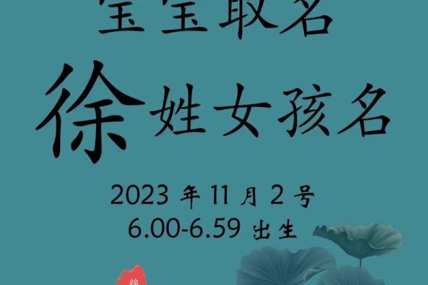 徐姓男孩名字大全-徐姓男孩起名字大全-徐姓名字大全姓名