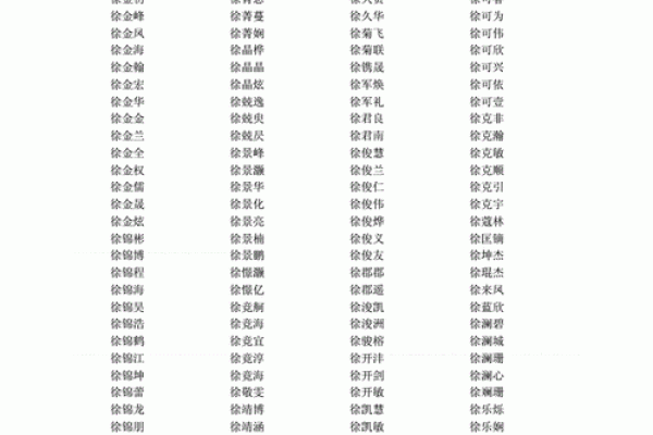 徐姓男孩名字大全-徐姓男孩起名字大全-徐姓名字大全姓名