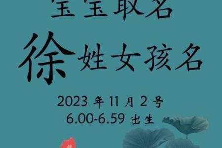 徐姓男孩名字大全-徐姓男孩起名字大全-徐姓名字大全姓名