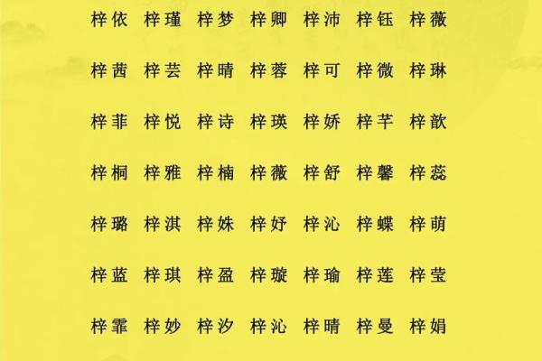 早上十点出生的属猴男孩如何什么名,应用什么字姓名 早上十点出生的属猴男孩如何什么名,应用什么字姓名