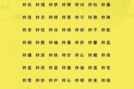 早上十点出生的属猴男孩如何什么名，应用什么字姓名