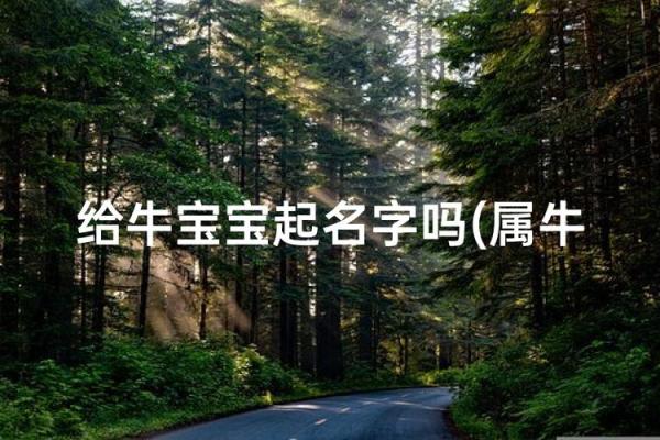 什么名字适合上午出生的属牛男孩姓名 什么名字适合上午出生的属牛男孩姓名