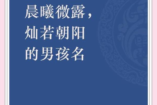 2019年6月14号寅时出生的男孩如何起名姓名 2019年6月14号寅时出生的男孩如何起名姓名