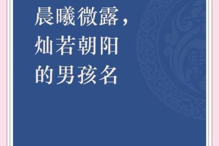 2019年6月14号寅时出生的男孩如何起名姓名