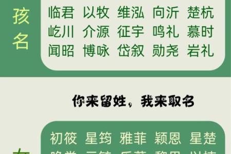 双胞胎男孩起乳名的方法和参考字有哪些-姓名学-华易网姓名