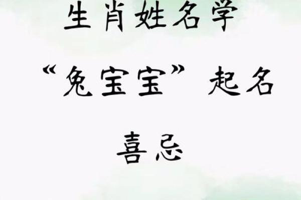 属兔酉时出生的男孩起名适合用什么字姓名