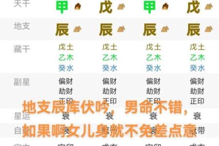 属龙辰时出生的男孩起什么名，用什么字姓名