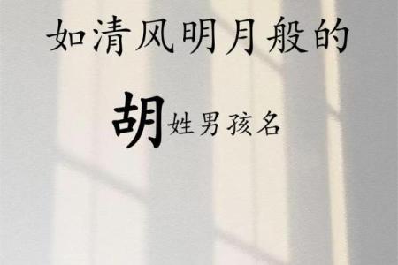 2019年3月23号巳时出生的男孩如何起名姓名