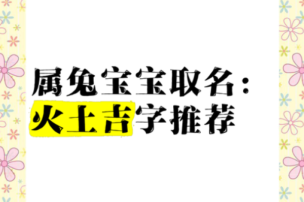 早上6点出生的属兔男孩如何取名姓名