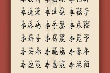 李姓女孩名字大全-李姓女孩起名字大全-李姓名字大全姓名