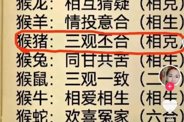 中午十二点出生的属猴男孩如何取名，适合什么字姓名