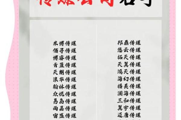咨询公司名字大全-名字大全姓名