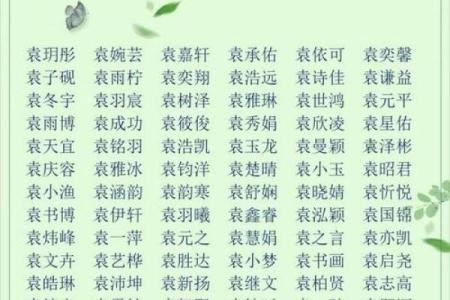 2021端午节出生的宝宝生辰八字起名大全姓名