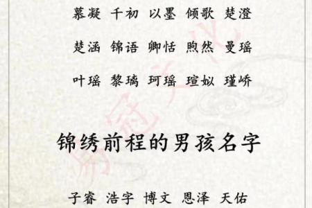 属猴亥时出生的男孩起什么名，宜用什么字姓名