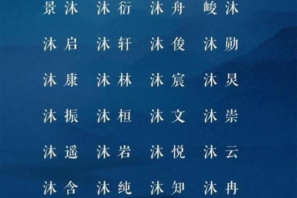 晚上出生的属虎男孩应该如何起名，宜用什么字姓名