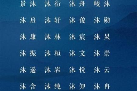 晚上出生的属虎男孩应该如何起名，宜用什么字姓名