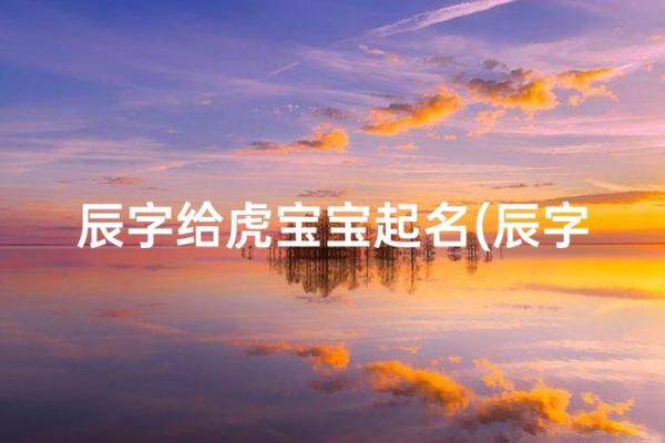 凌晨五点出生的属虎男孩如何起名，应用什么字。姓名