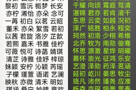 2019年5月22号寅时出生的男孩起名方法姓名