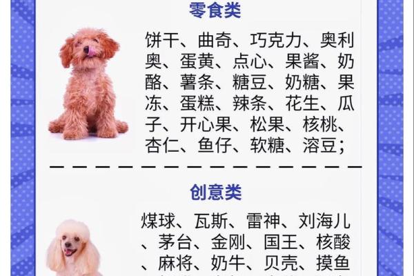 早上六点出生的属狗男孩如何取名,用什么字好姓名 早上六点出生的属狗男孩如何取名,用什么字好姓名