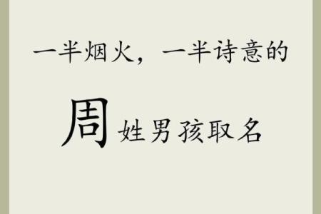 2019年3月30号辰时出生的男孩起名方法姓名