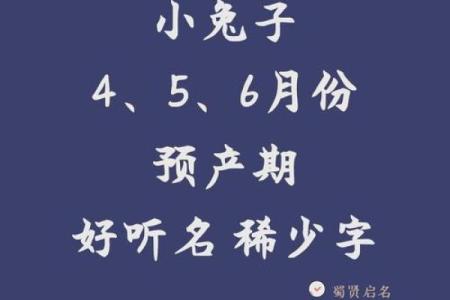 7月份出生的属兔男孩应该如何取名字姓名