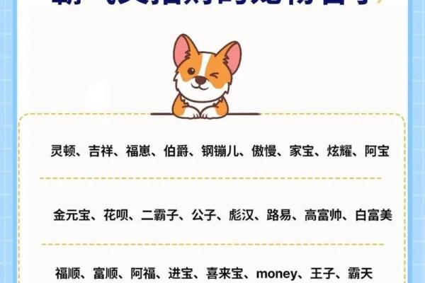 早上八点出生的属狗男孩怎么取名,用什么字好姓名 早上八点出生的属狗男孩怎么取名,用什么字好姓名