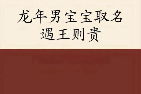 11月份出生的属龙男孩该怎样取名字姓名